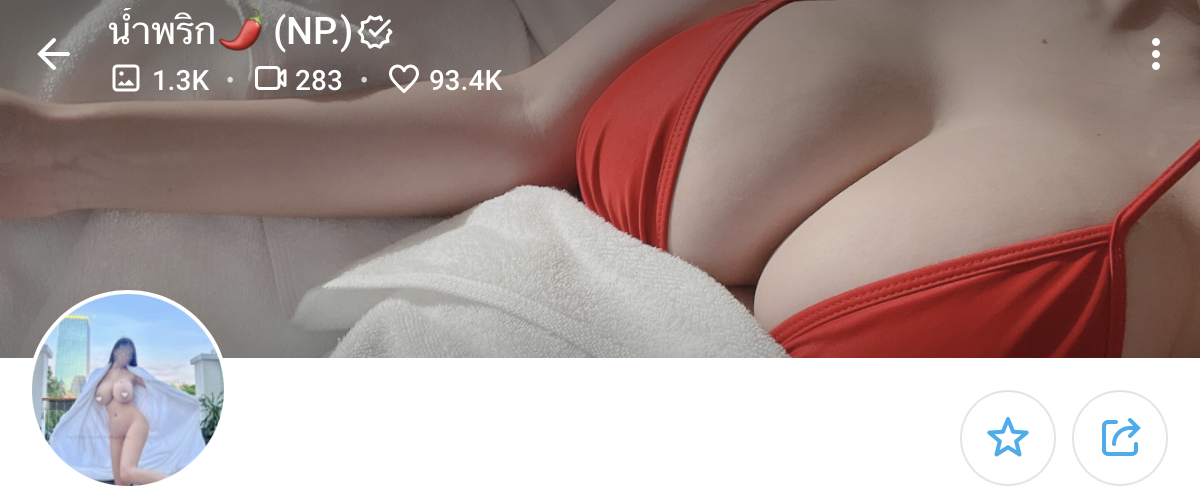 top-onlyfans-creators-npxvip